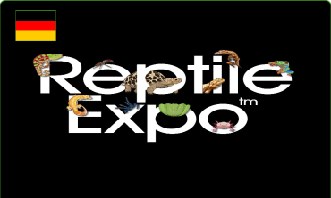 Reptile Expo Frankfurt 2026 – Hội chợ bò sát, kỳ nhông và thằn lằn